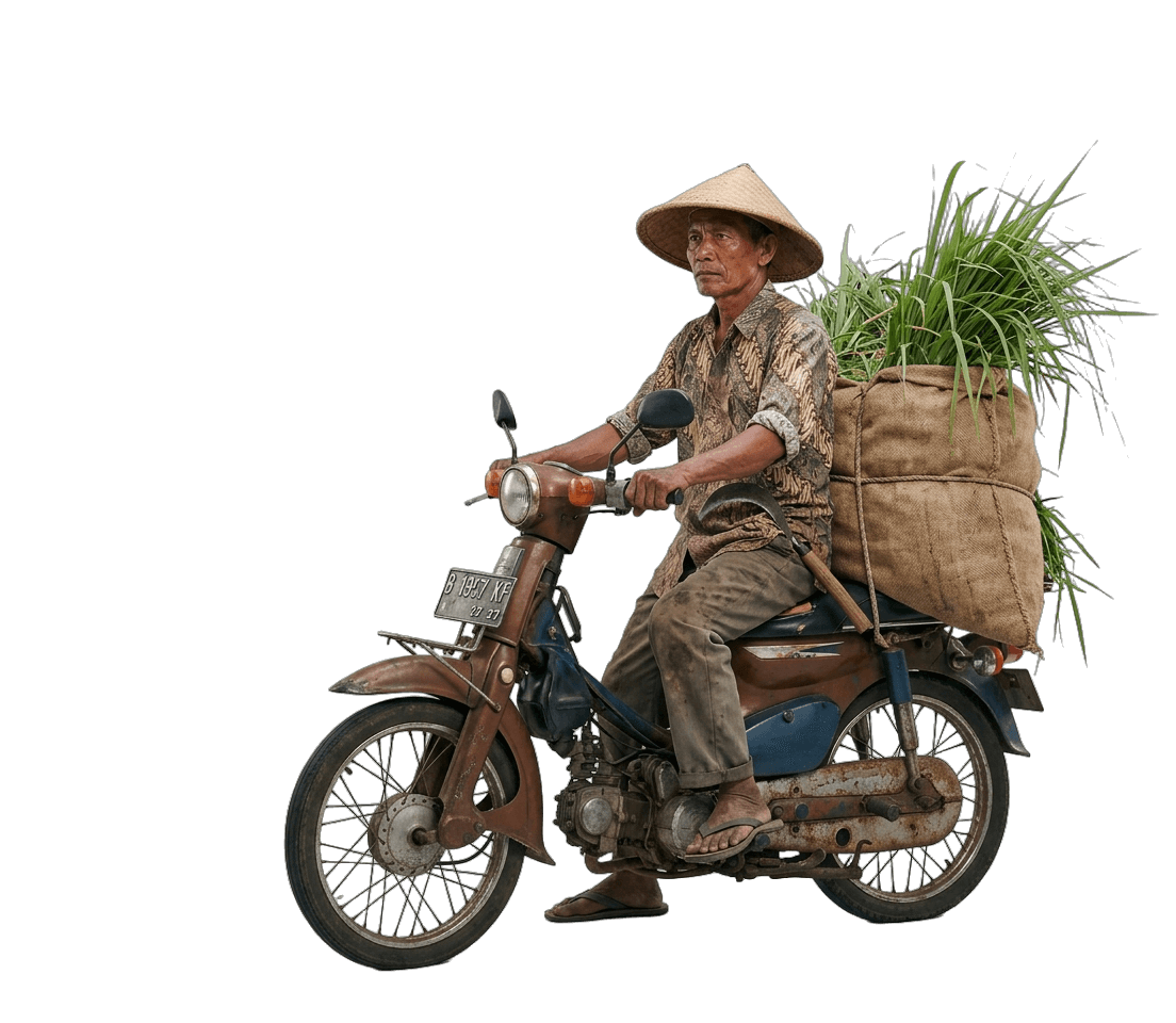 Farmer hauling rice seedlings on an old motorbike — rural Indonesia
